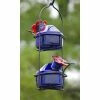 Parasol Lunch Pail Hummingbird Feeder, Small, Blue Hummingbird Feeders 1 Parasol Lunch Pail Hummingbird Feeder, Small, Blue Hummingbird Feeders