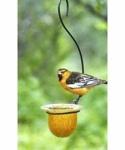 Parasol Mandarin Recycled Glass Oriole Feeder, Medium Hanging Feeders