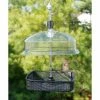 Gardman Mealworm Feeding Tray Hanging Feeders