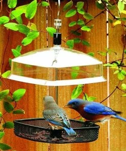 Gardman Mealworm Feeding Tray Hanging Feeders