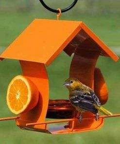 Woodlink Hanging Feeders Orange Metal Six Station Oriole Feeder