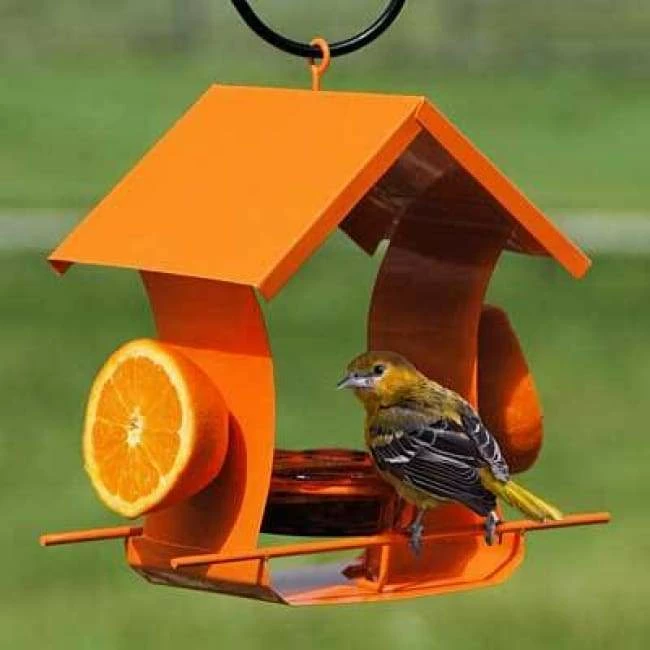 Woodlink Hanging Feeders Orange Metal Six Station Oriole Feeder 3 Woodlink Hanging Feeders Orange Metal Six Station Oriole Feeder