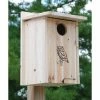 BestNest Premium Screech Owl House Or Kestrel House Post / Pole Mounted Houses