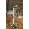 Aspects Hanging Feeders Quick-Clean Seed Tube Bird Feeder, Large Spruce