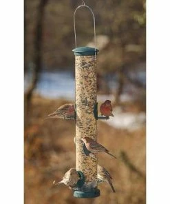 Aspects Hanging Feeders Quick-Clean Seed Tube Bird Feeder, Large Spruce