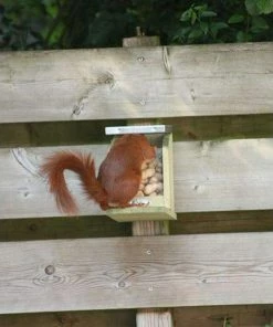 Squirrel Feeder By Esschert Design