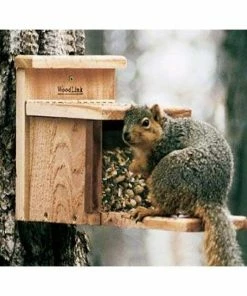 Squirrel Feeder By Woodlink Squirrels