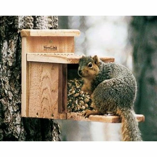 Squirrel Feeder By Woodlink Squirrels 3 Squirrel Feeder By Woodlink Squirrels