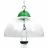 Droll Yankees Squirrel Guard, Green Bird Feeder Accessories 1 Droll Yankees Squirrel Guard, Green Bird Feeder Accessories
