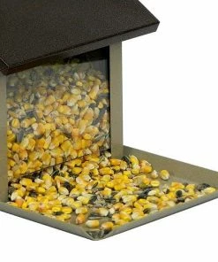 Stokes Select Squirrel Lunch Box