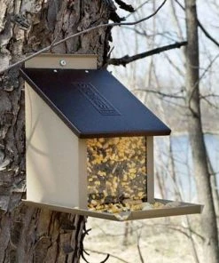 Stokes Select Squirrel Lunch Box