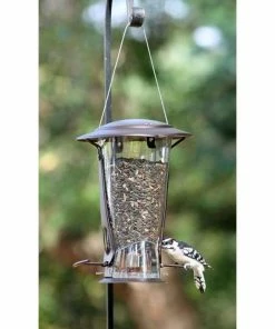More Birds Hanging Feeders Squirrel X-2 Squirrel Proof Bird Feeder