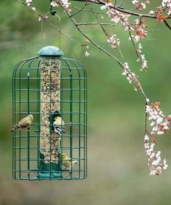Stokes Select Squirrel Resistant Bird Feeder Cage Feeders