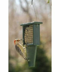 Songbird Essentials Suet Feeder With Tail Prop, Green Hanging Feeders