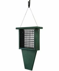 Songbird Essentials Suet Feeder With Tail Prop, Green Hanging Feeders