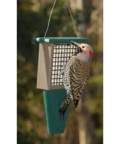 Songbird Essentials Suet Feeder With Tail Prop, Green/Brown Hanging Feeders