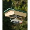 Songbird Essentials Upside-Down Green/Brown Suet Feeder Hanging Feeders