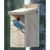 Looker Products View Thru Bluebird House 2 Looker Products View Thru Bluebird House