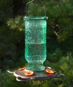 More Birds Vintage Bottle Oriole Feeder Hanging Feeders