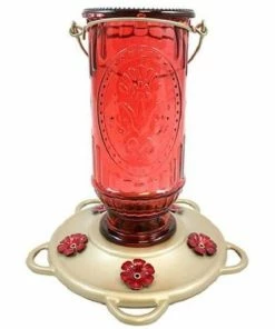 More Birds Hanging Feeders Vintage Red Bottle Hummingbird Feeder