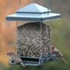 Heritage Farms Hanging Feeders Vista Squirrel Proof Bird Feeder