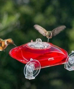 Droll Yankees Window Hummer III Hummingbird Feeder Hummingbird Feeders 7 Droll Yankees Window Hummer III Hummingbird Feeder Hummingbird Feeders