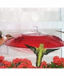 Droll Yankees Window Hummer III Hummingbird Feeder Hummingbird Feeders