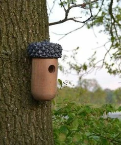 Esschert Design Wooden Acorn Bird House