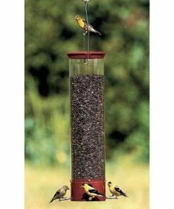 Droll Yankees Hanging Feeders Yankee Dipper Squirrel Proof Bird Feeder