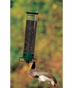 Droll Yankees Hanging Feeders Yankee Flipper Squirrel Proof Bird Feeder