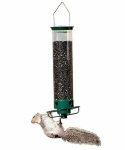 Droll Yankees Hanging Feeders Yankee Flipper Squirrel Proof Bird Feeder
